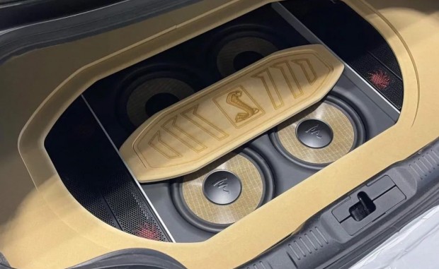 野马眼镜蛇4低音尾箱工艺